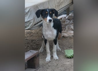Kleine Katja wartet auf ihre Menschen