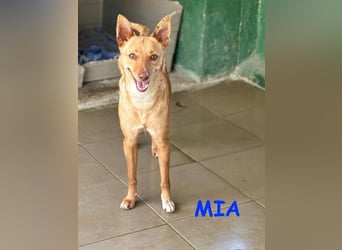 Mia die Aktive