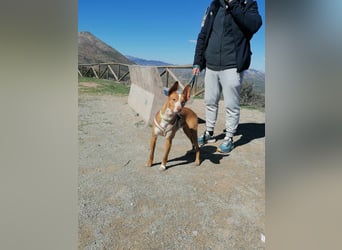 BILLY