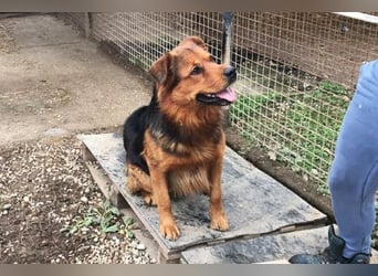 Milo – Harte Schale, weicher Kern