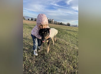 Besondere Michelle sucht liebevolles Zuhause