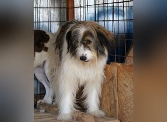 Rocky sucht ein ruhiges Plätzchen