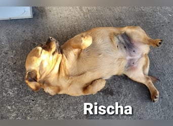 Rischa die Alten-Betreuungskraft mit Leidenschaft