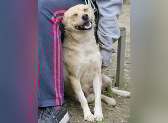 Freundliche INESSA sucht Zuhause zum kuscheln