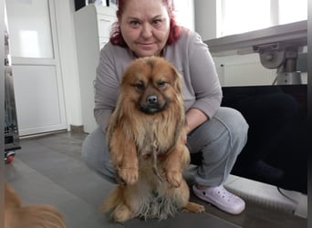 Moritz - sucht seine Familie!