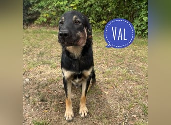 Val der allerliebste