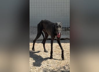 Neo, lieb und schüchtern