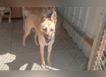 Liebe PRINCESA sucht ihr Traumkörbchen