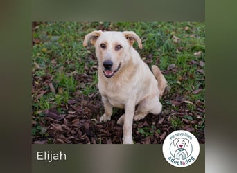 Elijah: Bester Freund gesucht