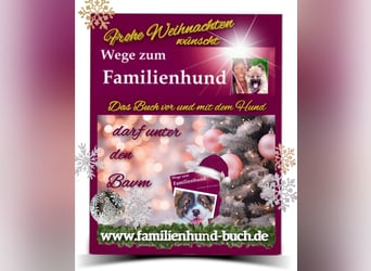 Vor und mit dem Welpen, Junghund, erwachsenen Hund: Das Buch Wege zum Familienhund