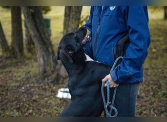 Larry: Sportskanone sucht Gleichgesinnte