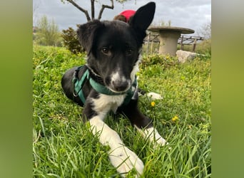 Herzensbrecherin Lena sucht ihre Familie ❤️