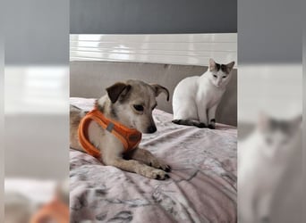 Tami möchte nur geliebt werden