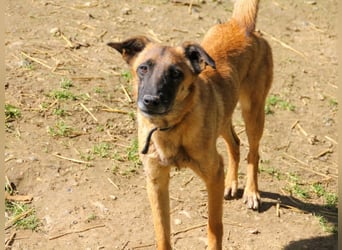 Entzückende RONJA träumt von einem Für-Immer-Zuhause