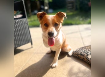 Charlie - unkompliziert und ruhig