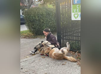 Tolle Bonnie möchte eine liebe Familie