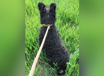 Merida eine wundervolle Seele