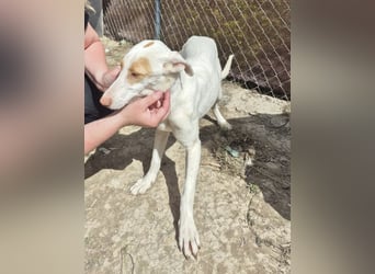 Barbi, wartet auf ihre Familie