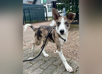 Zauberhafte Malou sucht IHR großes Glück