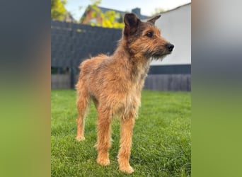 Peaches ❤️ wartet in 51143 Köln