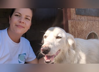 Zauberhafte Skadi, bekommt sie trotz Handicap eine Chance?