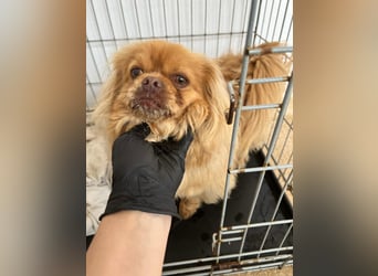 Milo freut sich auf Deinen Besuch