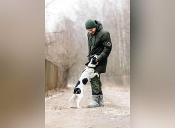 Lebensfroher Henry sucht seine Menschen