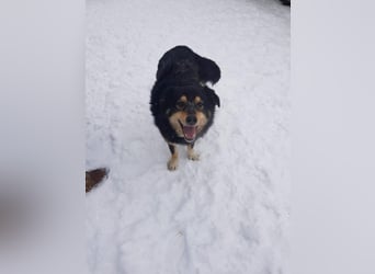 Berta sucht ein Zuhause.