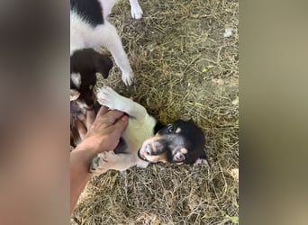 JIMMY – klein, charmant und voller Entdeckerdrang