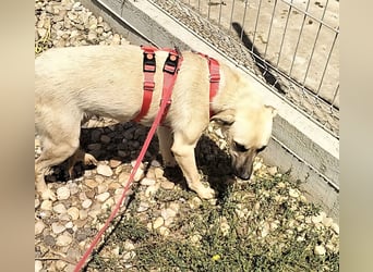 MAXI sucht Familienanschluss
