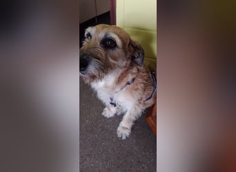Dori verliert leider ihr Zuhause