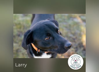 Larry: Sportskanone sucht Gleichgesinnte
