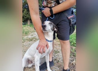 Capitano: „Nehmt Ihr mich an Bord?“