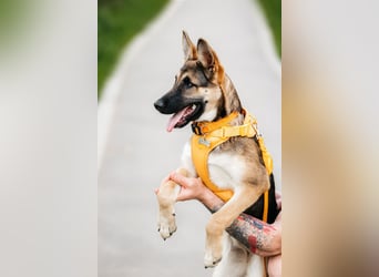 Besondere Deya sucht warmes Körbchen