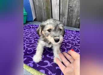 Chloe