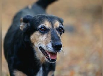 Ruby: Besitzerin unerwartet gestorben