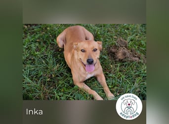 Inka – Ihre Augen leuchten wie ihr Name