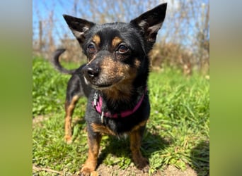 Emma - liebevolle Seniorin-Dame
