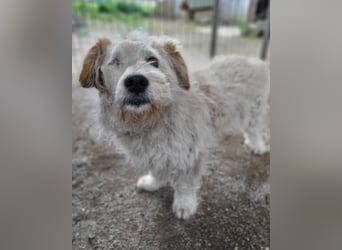 Lucky ❤️ fröhlich+aufgeweckt sucht dich!