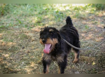 Eliot: Sucht ein Zuhause