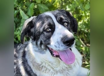 Nobu (Spanien) – der beste Partner, den man sich wünschen kann