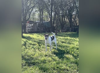 Aufgeschlossene Freya sucht liebe Familie