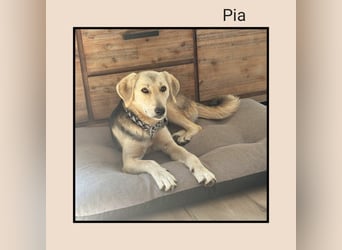 In Hamburg wartet die soziale PIA auf DEINEN Besuch! MIT VIDEOS!