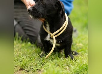 Onyx