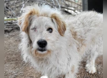 Lucky ❤️ fröhlich+aufgeweckt sucht dich!