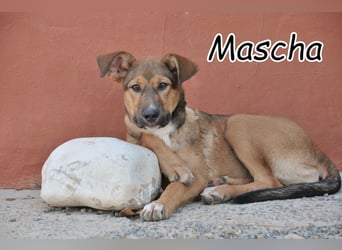 Zeigen Sie Mascha, was Liebe ist?