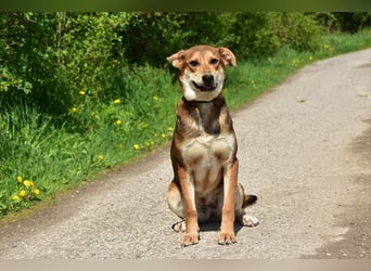 Bara schließt ihre Menschen schnell ins Herz