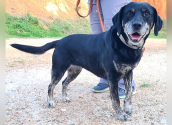 Storme eine tolle Freundin