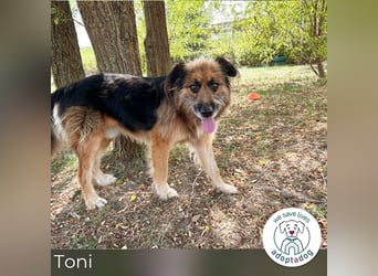 Toni: Freundlicher Entdecker