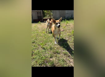 Mici, Kinderliebe Lebensfrohe junge Dame sucht dich!